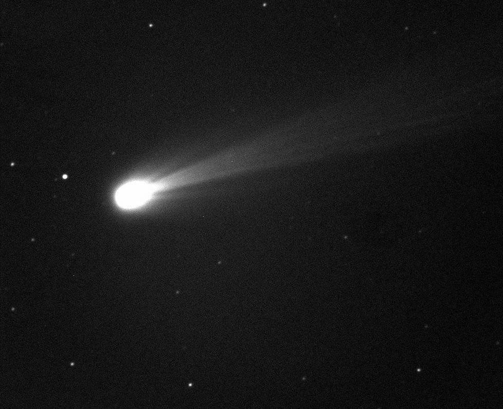 Comet Panspermia